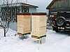 hive -52.JPG hive -52.JPG